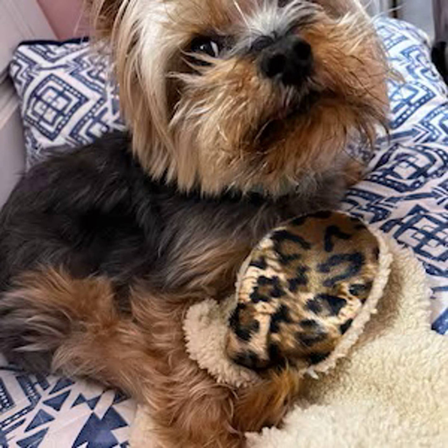 Mini Franny, Stress Reducing Toy, Anxiety Reducing Aide and Pulsating Heart