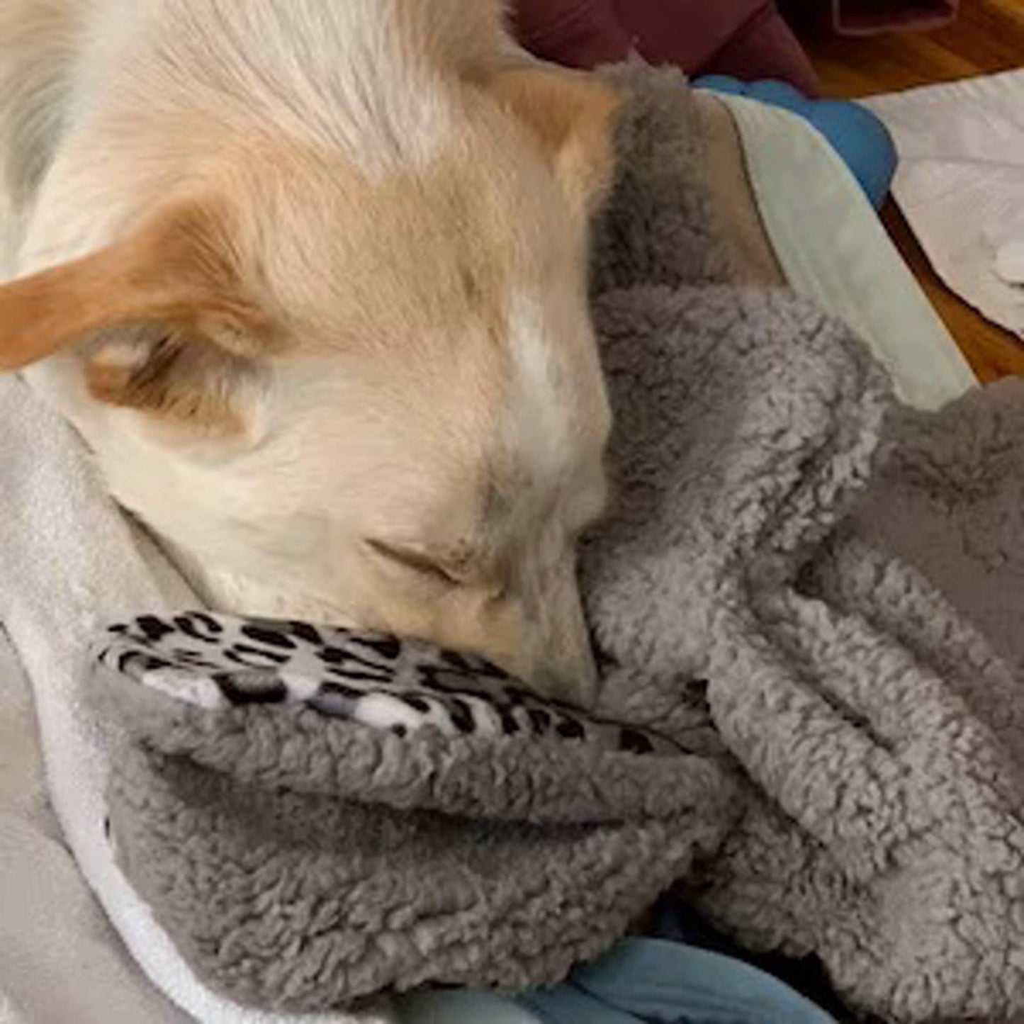 Franny Pet Nanny with Optional Pulsing Heartbeat