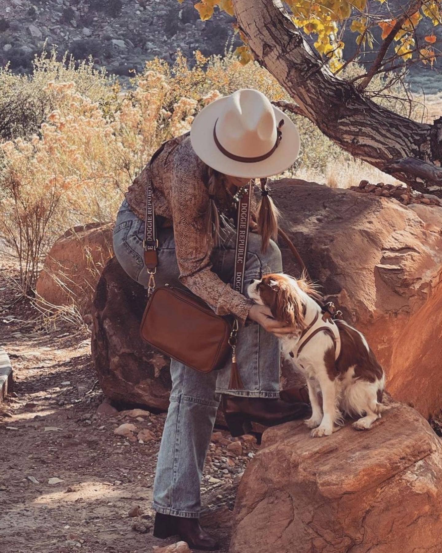 Day Bag With Waste Bag Dispenser Built In