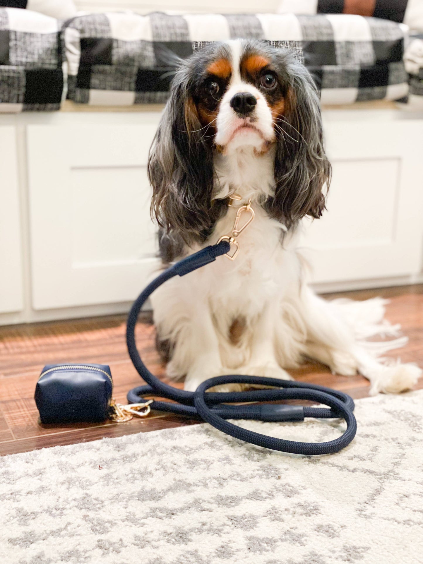 The Classic Waste Bag Holder - Night Sky (Gold Hardware)