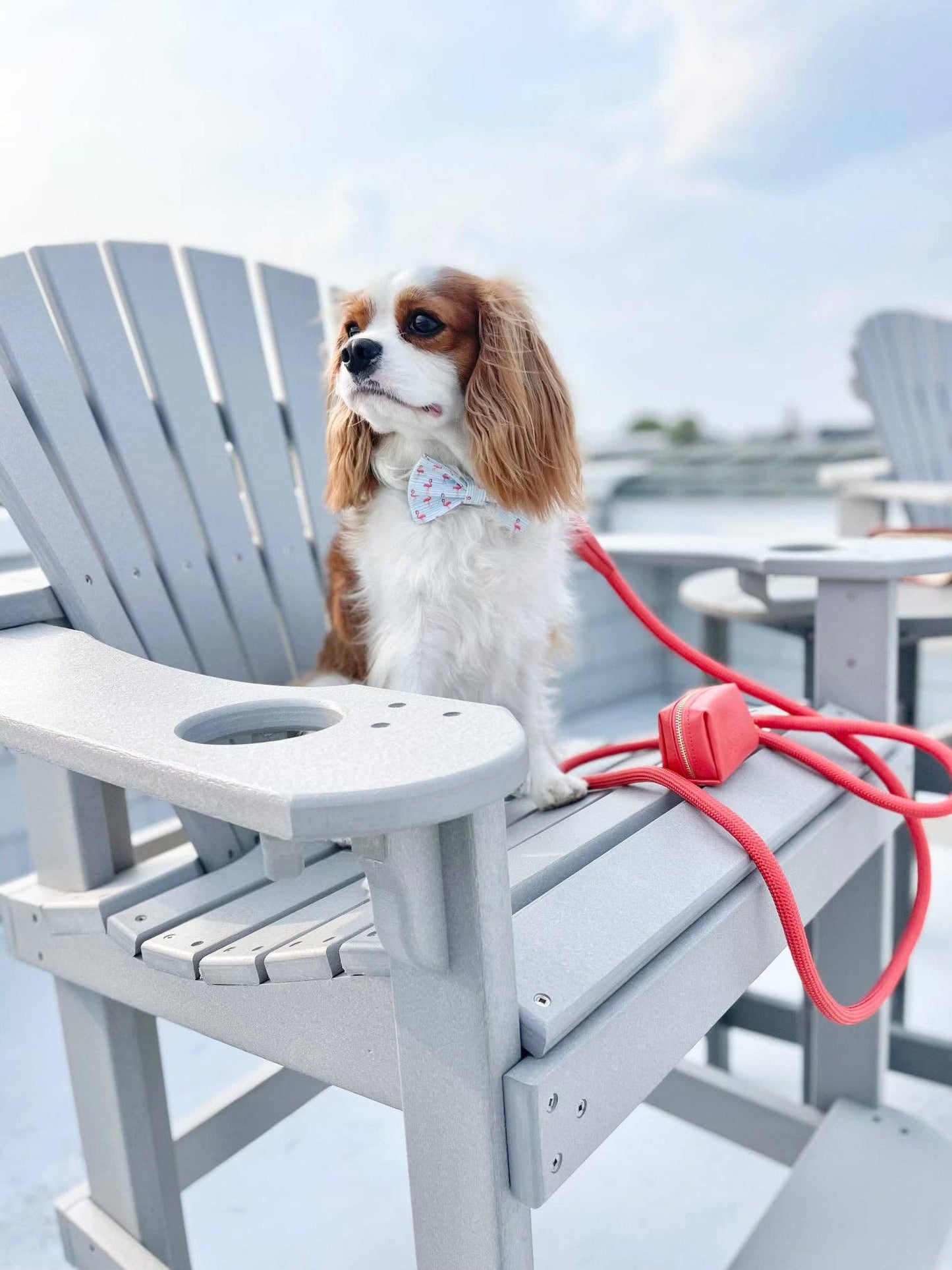 The Classic Waste Bag Holder - Coral