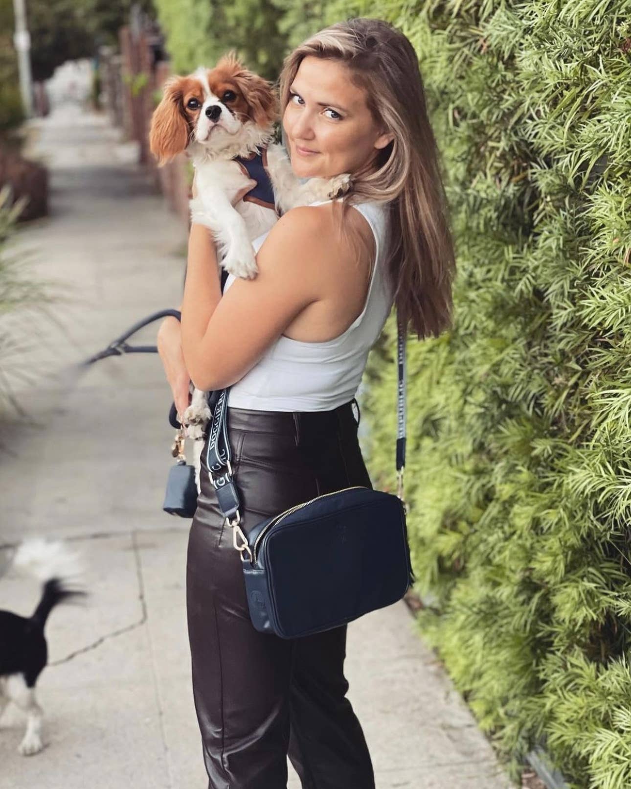 Day Bag With Waste Bag Dispenser Built In