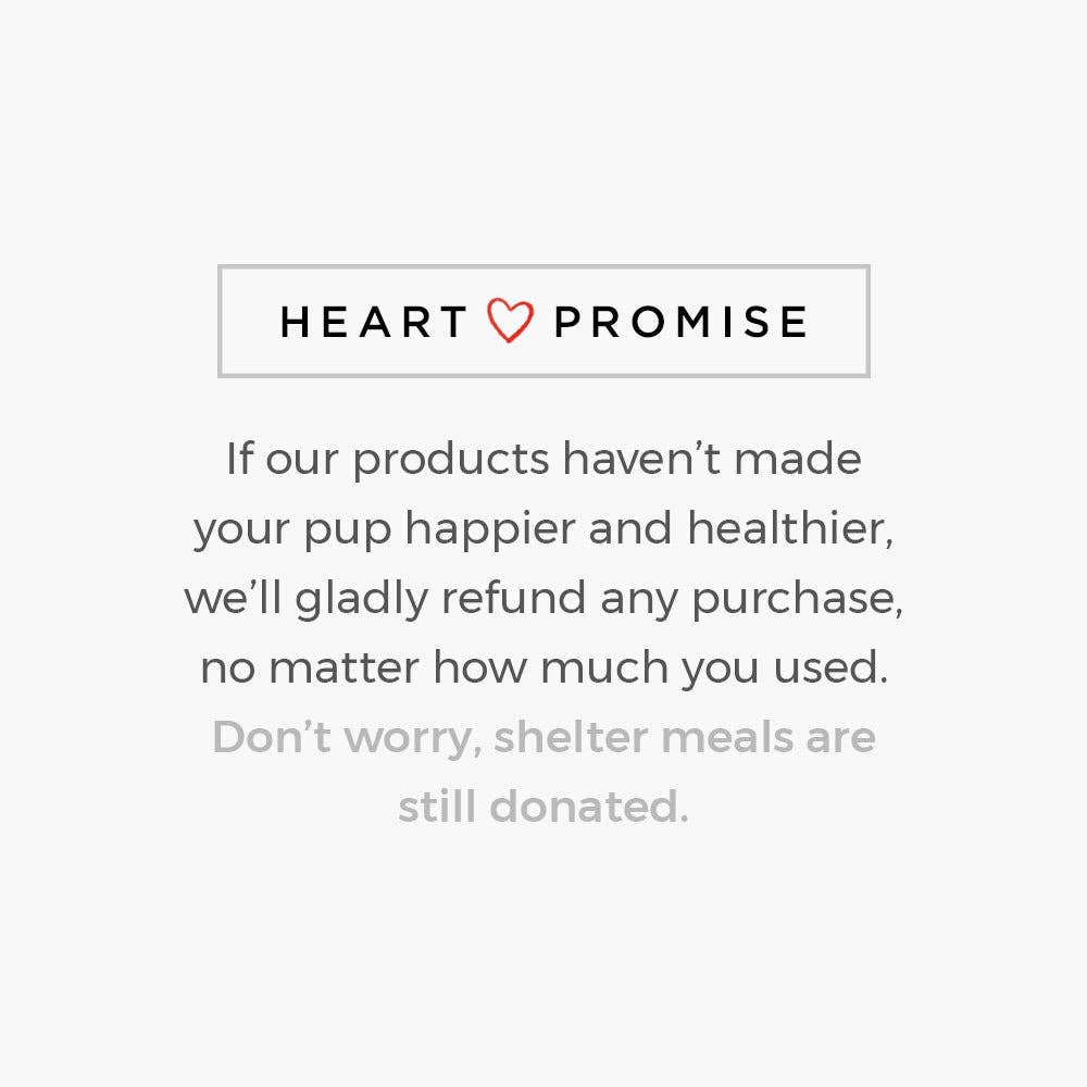 Santa’s Light Of Hope- A Cat’s Christmas Wish Inspirational Collectible Figurine- Helps Feed Shelter Cats in Need -Faire