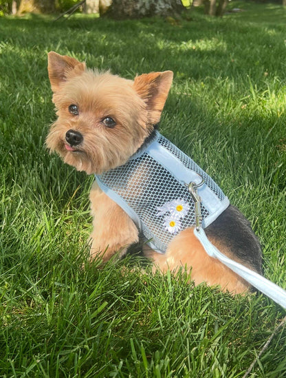 Cool Mesh Dog Harness - Blue Daisy