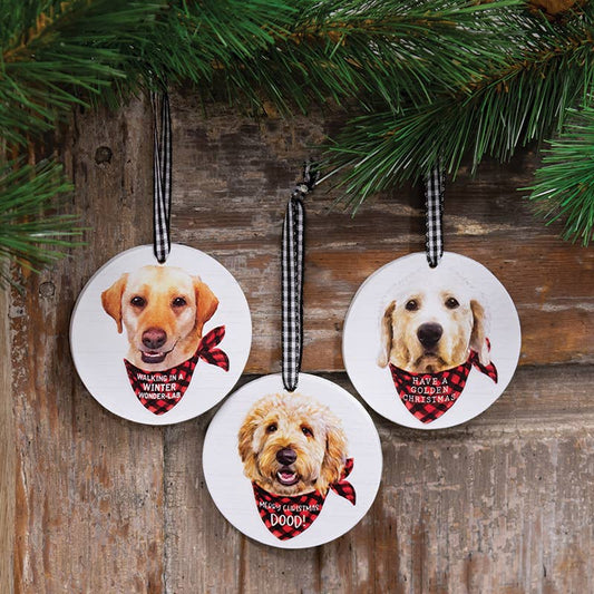 "Winter Wonder-Lab" Round Ornament, 3 Assorted