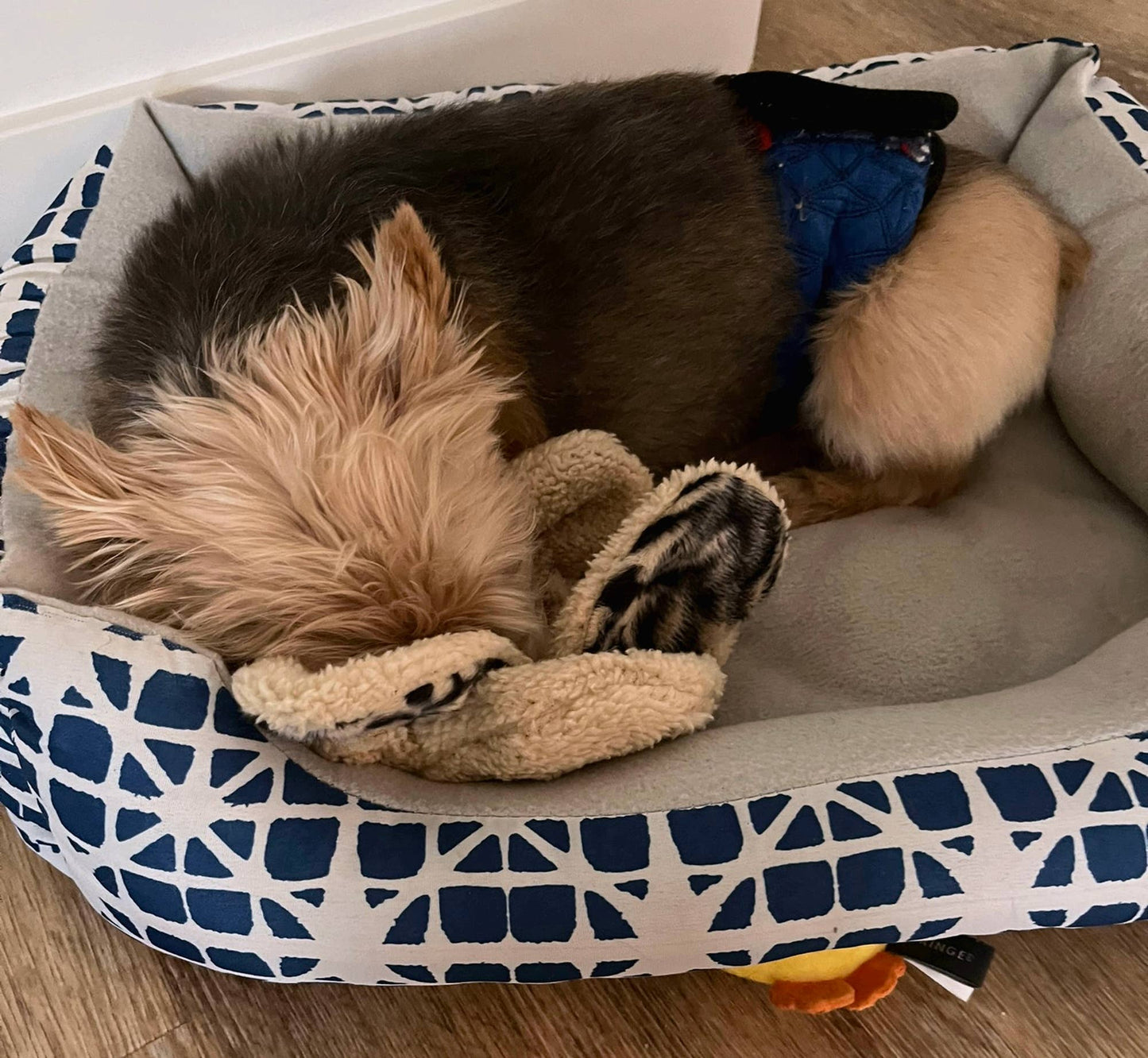 Mini Franny, Stress Reducing Toy, Anxiety Reducing Aide and Pulsating Heart