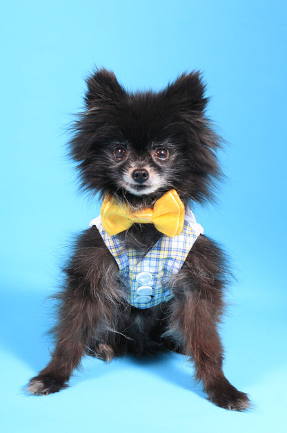 Elegant White Dog Shirt Collar with D-Ring and Yellow Bow Tie