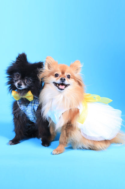 Elegant White Dog Shirt Collar with D-Ring and Yellow Bow Tie