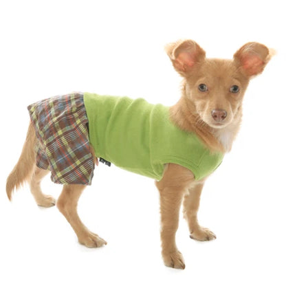 Brown and Lime Seersucker Boxer Shorts for Dogs