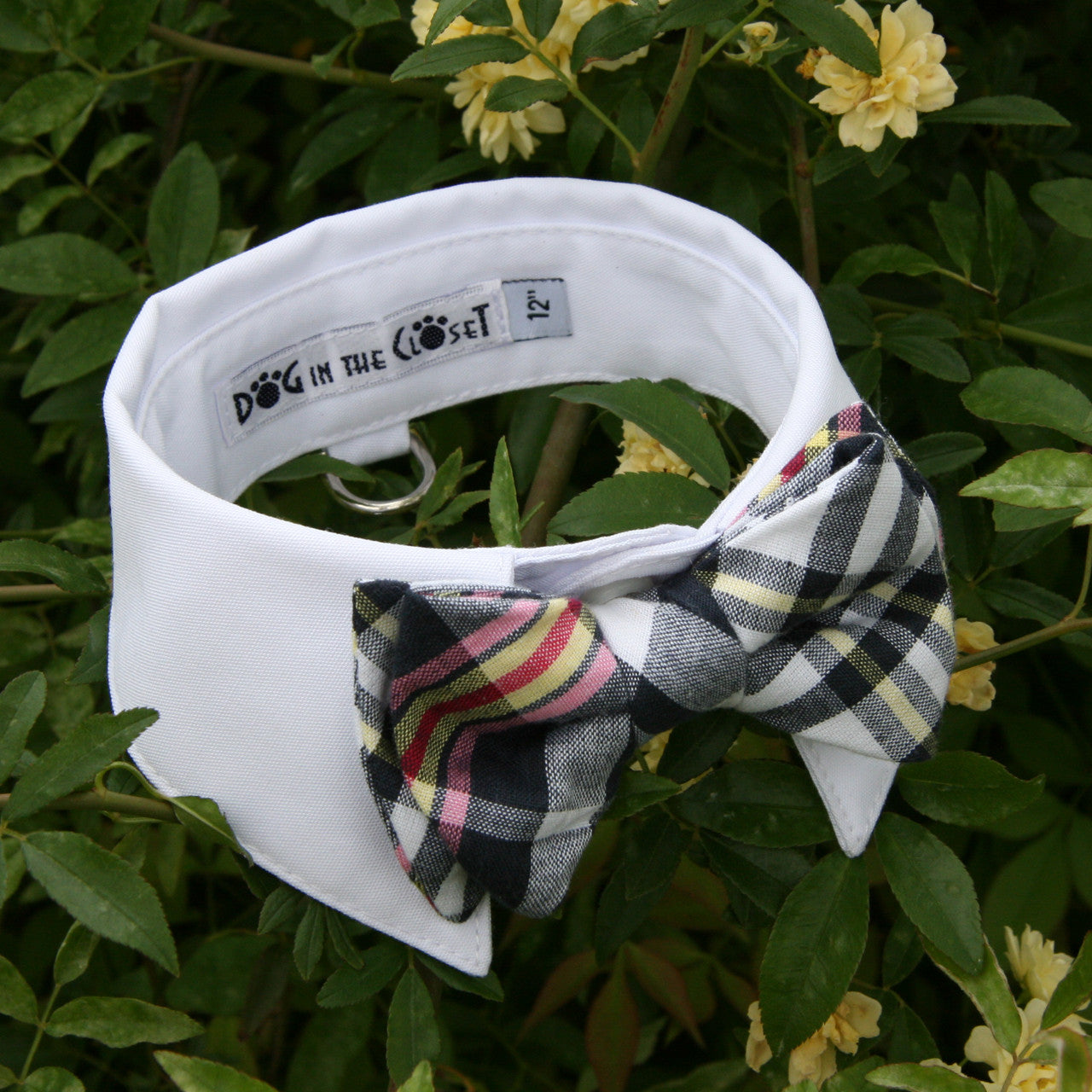 Elegant White Shirt Dog Collar with Dark Navy Madras Plaid Bow Tie
