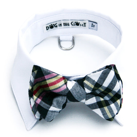 Elegant White Shirt Dog Collar with Dark Navy Madras Plaid Bow Tie