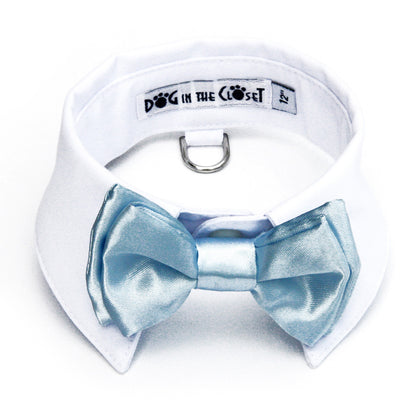 Dapper Dog White Shirt Collar with Baby Blue Bow Tie for Elegant Pups