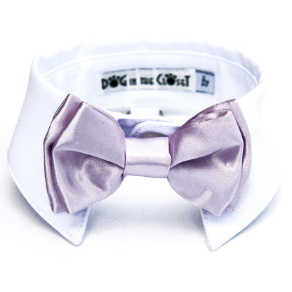 Stylish White Dog Shirt Collar with Lilac Bow Tie for Every Occasion