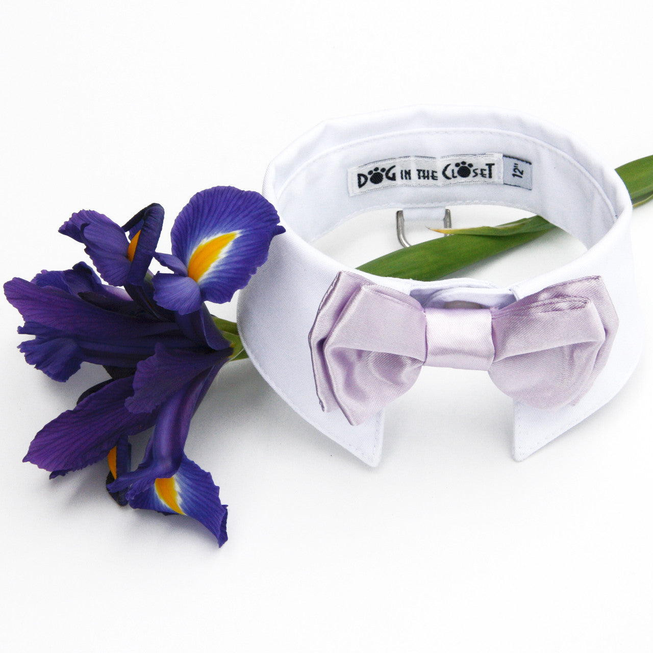 Stylish White Dog Shirt Collar with Lilac Bow Tie for Every Occasion