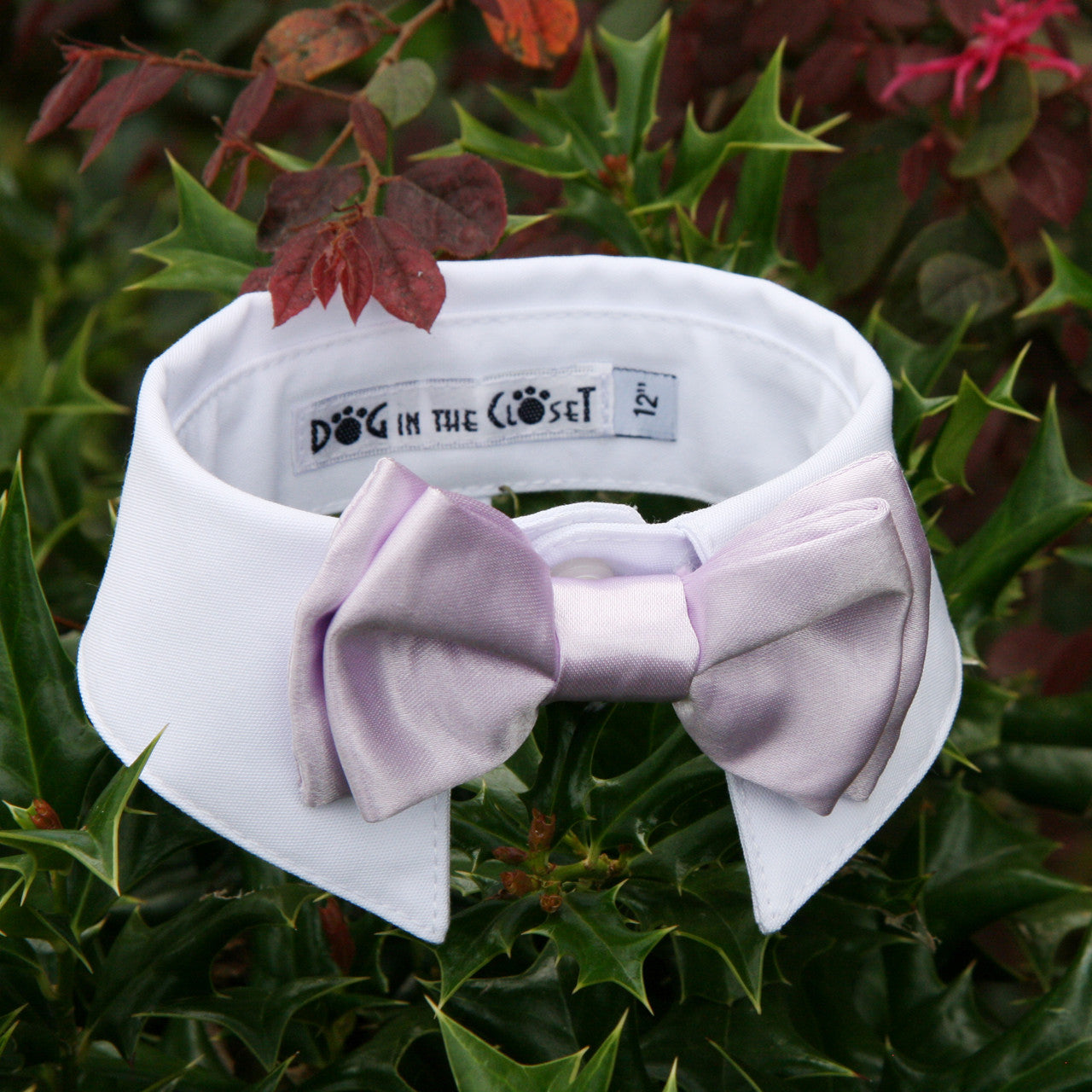 Stylish White Dog Shirt Collar with Lilac Bow Tie for Every Occasion