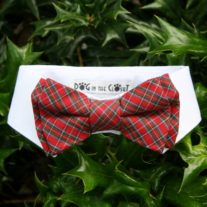 Charming White Shirt Dog Collar with Vibrant Red Tartan Plaid Detachable Bow Tie