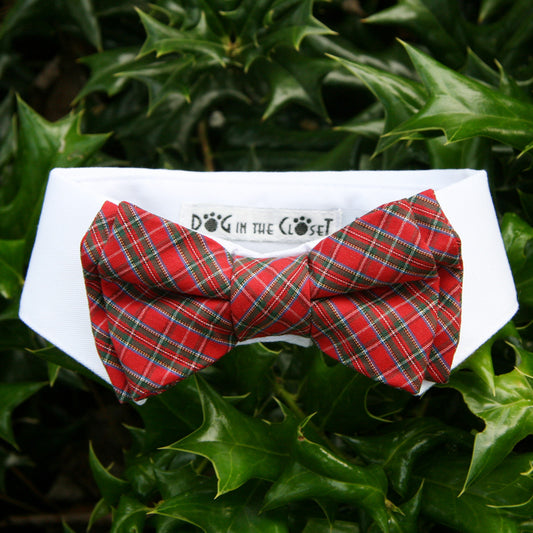 Charming White Shirt Dog Collar with Vibrant Red Tartan Plaid Detachable Bow Tie