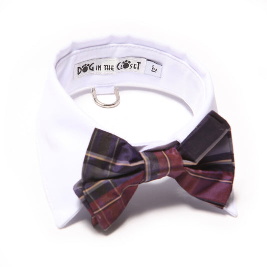Stylish White Shirt Dog Collar, Purple Silk Plaid Bow Tie, D-Ring, All Sizes