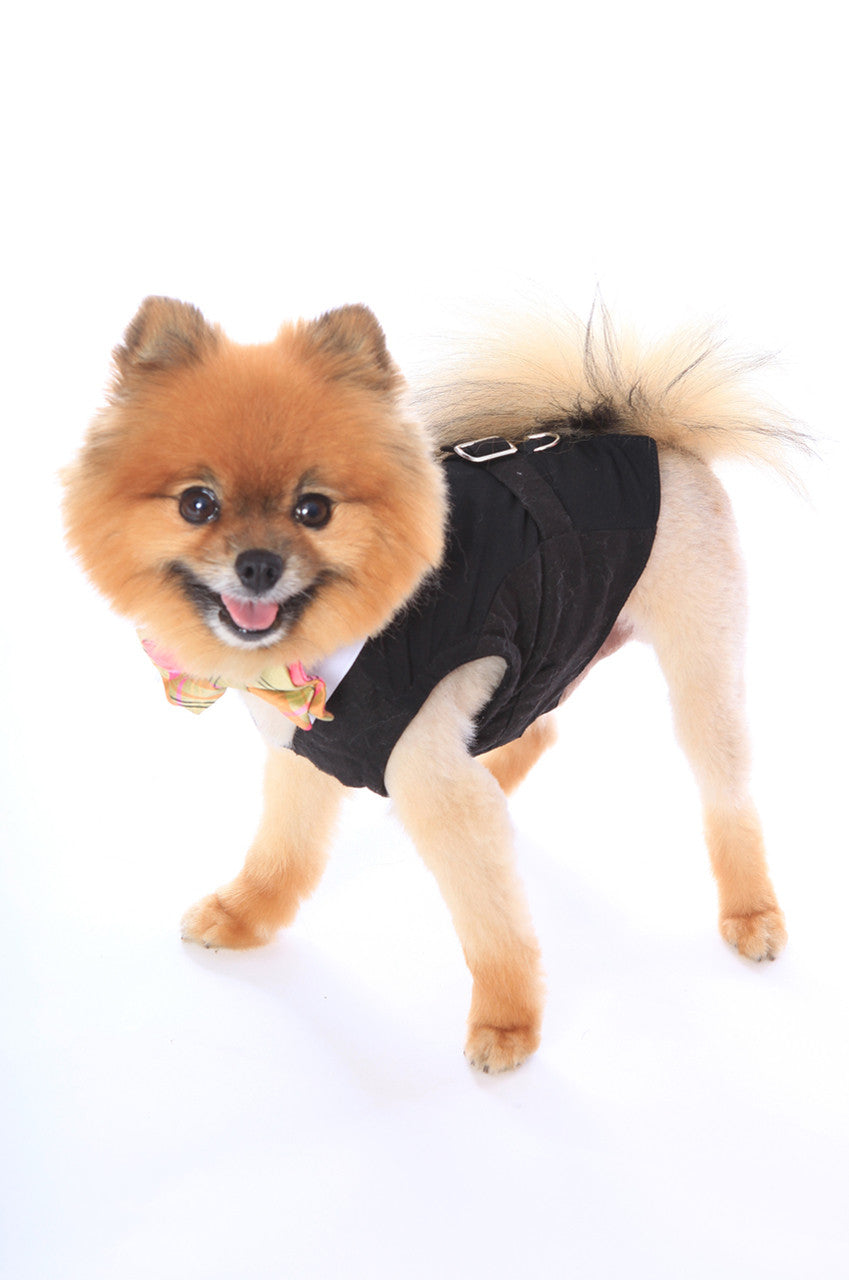 Dapper Dog White Shirt Collar with Coral Lime Silk Plaid Bow Tie