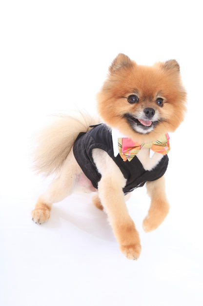 Dapper Dog White Shirt Collar with Coral Lime Silk Plaid Bow Tie