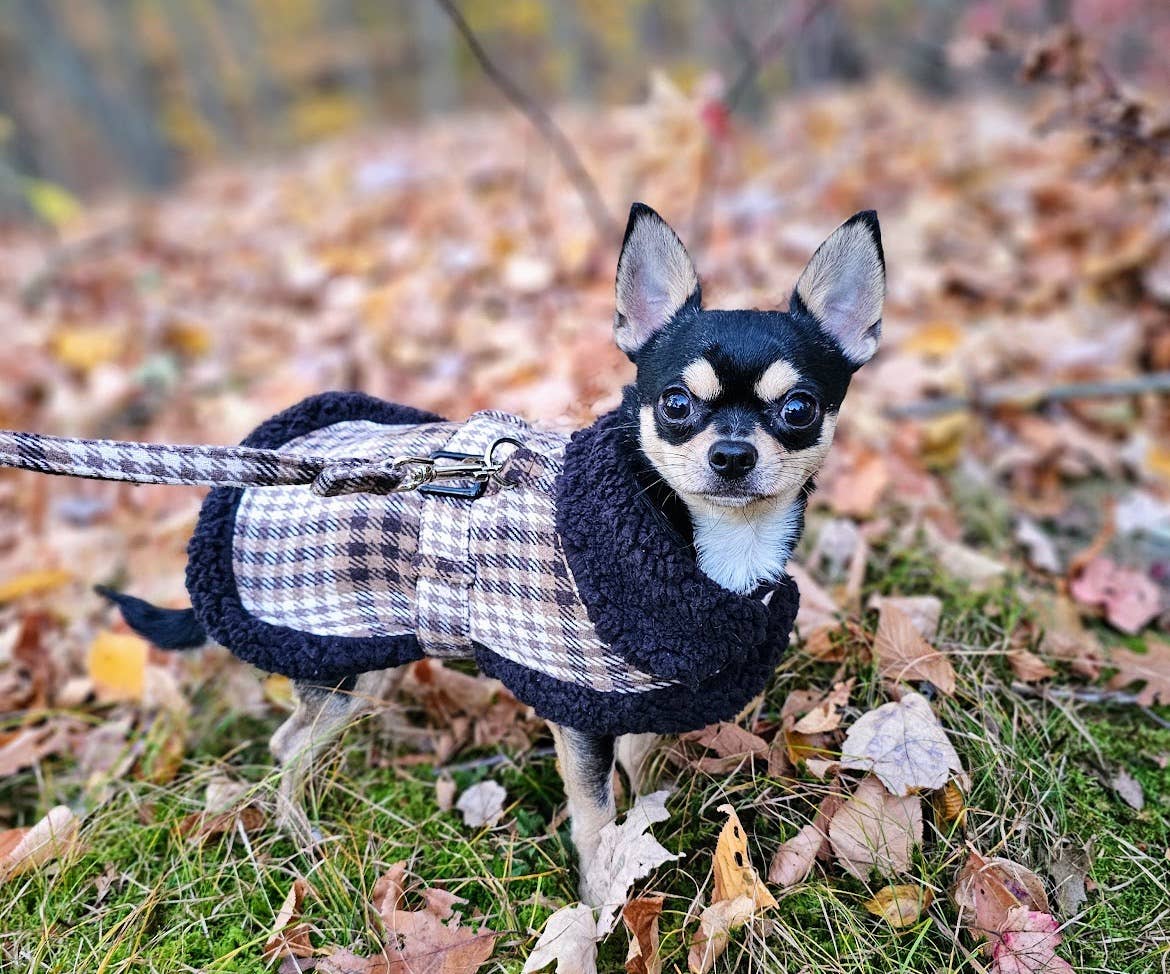 Sherpa-Lined Dog Harness Coat - Brown & White Plaid