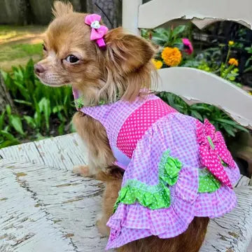 Playful Watermelon Print Dog Dress with Matching Leash and Secure Closure SALE! 50% OFF