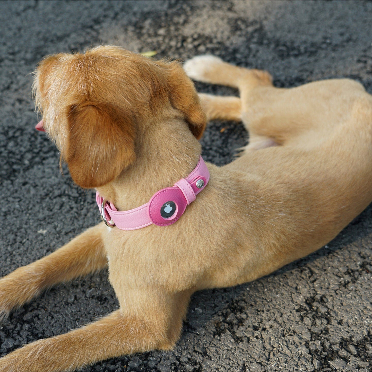 Silver-Powered Freshness Microfiber Vegan Leather AirTag Dog Collar