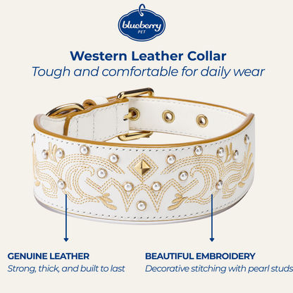 White Collar Western Style Premium Leather