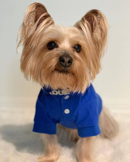 Polo Blue Dog Shirt – Ideal Pet Shirt for Playful Dogs