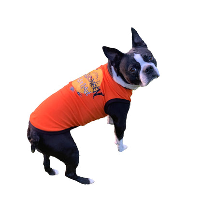 Happy Halloween Dog Tank Top Shirt for Pets with Reflective Graphic