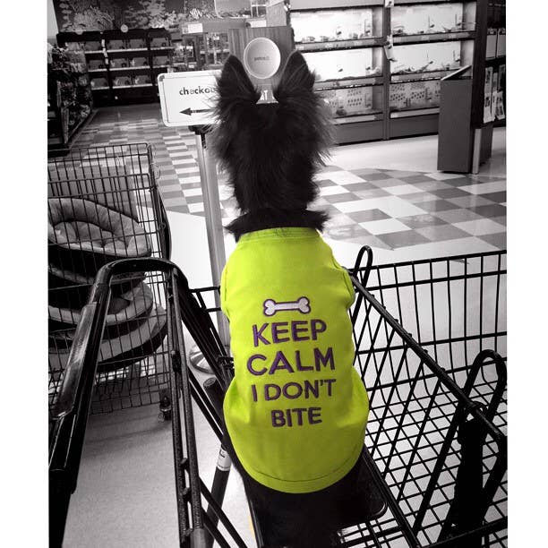 Keep Calm Dog T-Shirt – Adorable & Relaxed Pet Apparel