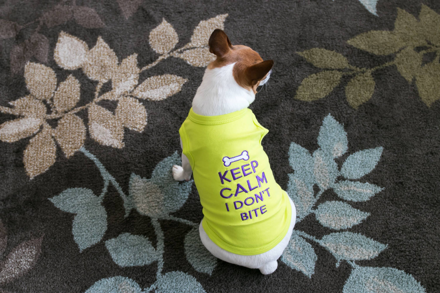 Keep Calm Dog T-Shirt – Adorable & Relaxed Pet Apparel