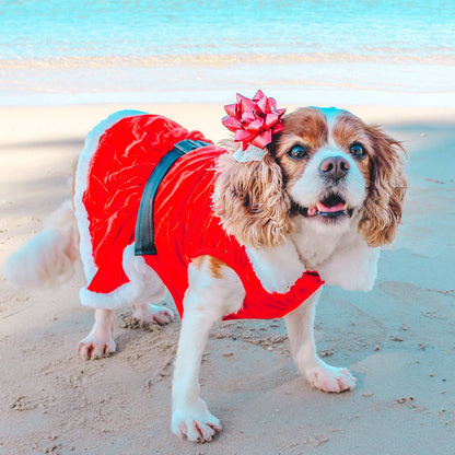Beautiful and Festive  Mrs. Claus Dress