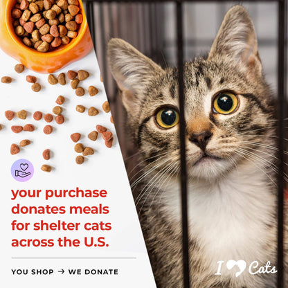 Santa’s Light Of Hope- A Cat’s Christmas Wish Inspirational Collectible Figurine- Helps Feed Shelter Cats in Need -Faire