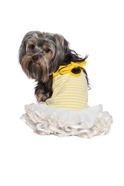 Ballerina Dress – Cute & Stylish Tutu Dress for Pets