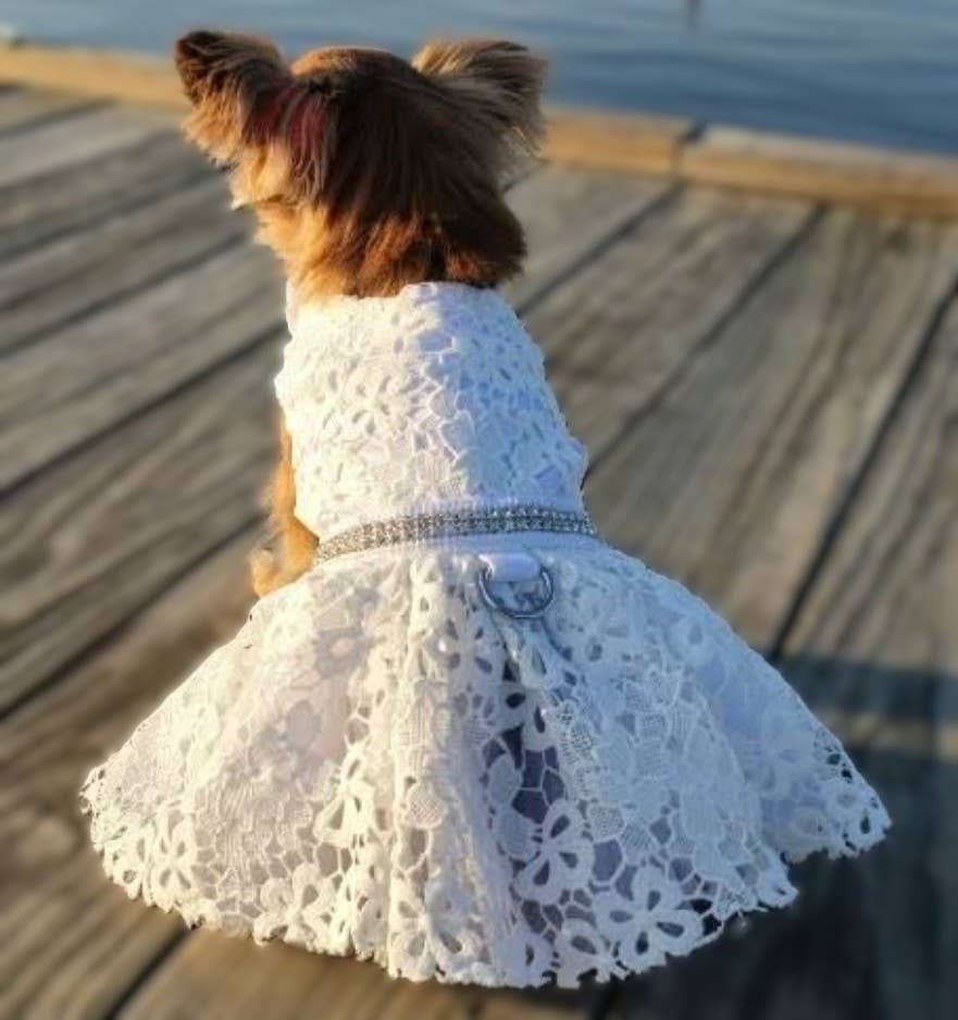 White Lace Dog Wedding Dress with Matching Leash