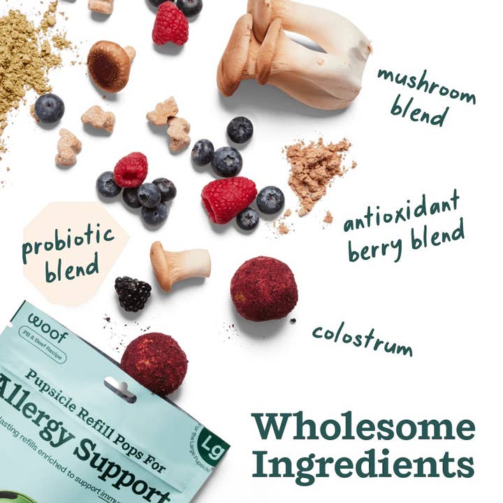 Allergy Support Wellness Dog Pops by Woof