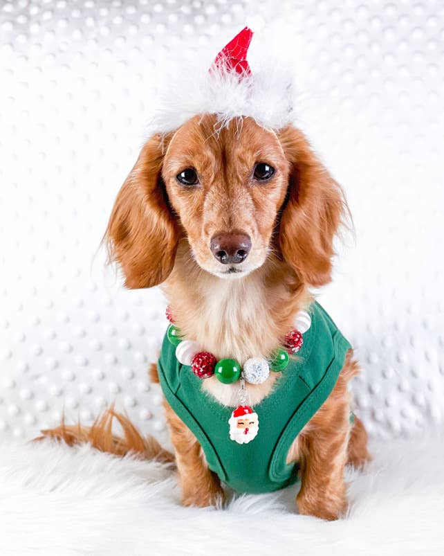 Dear Santa Define Good Dog T-Shirt Funny Holiday Pet Outfit