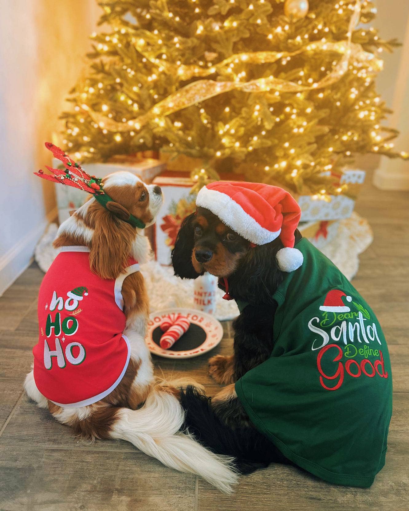 Dear Santa Define Good Dog T-Shirt Funny Holiday Pet Outfit
