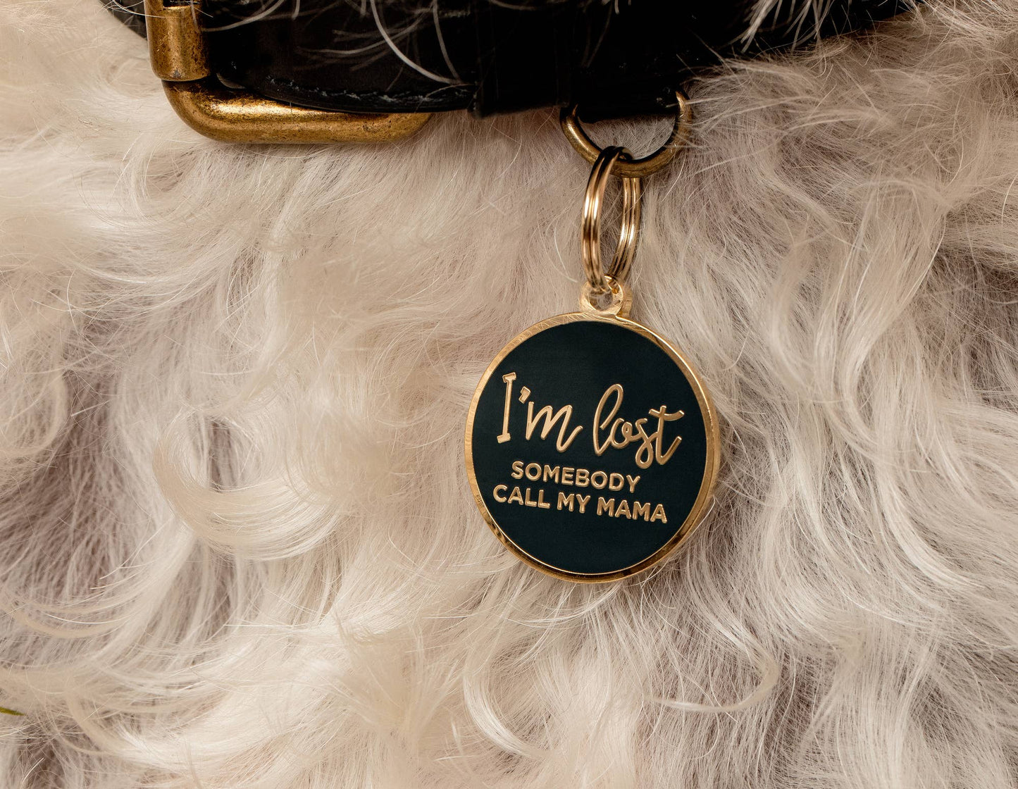 I'm Lost, Somebody Call My Mama Pet ID Tag With Free Engraving