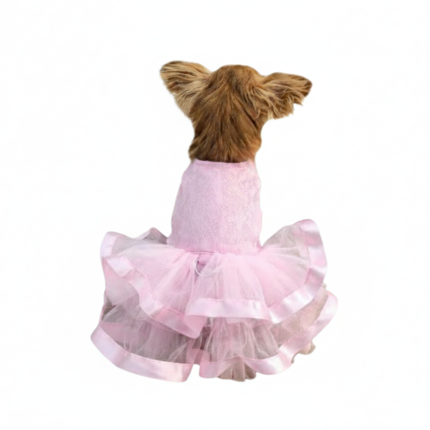 Pink Lace & Ruffles Dog Dress with Matching Leash