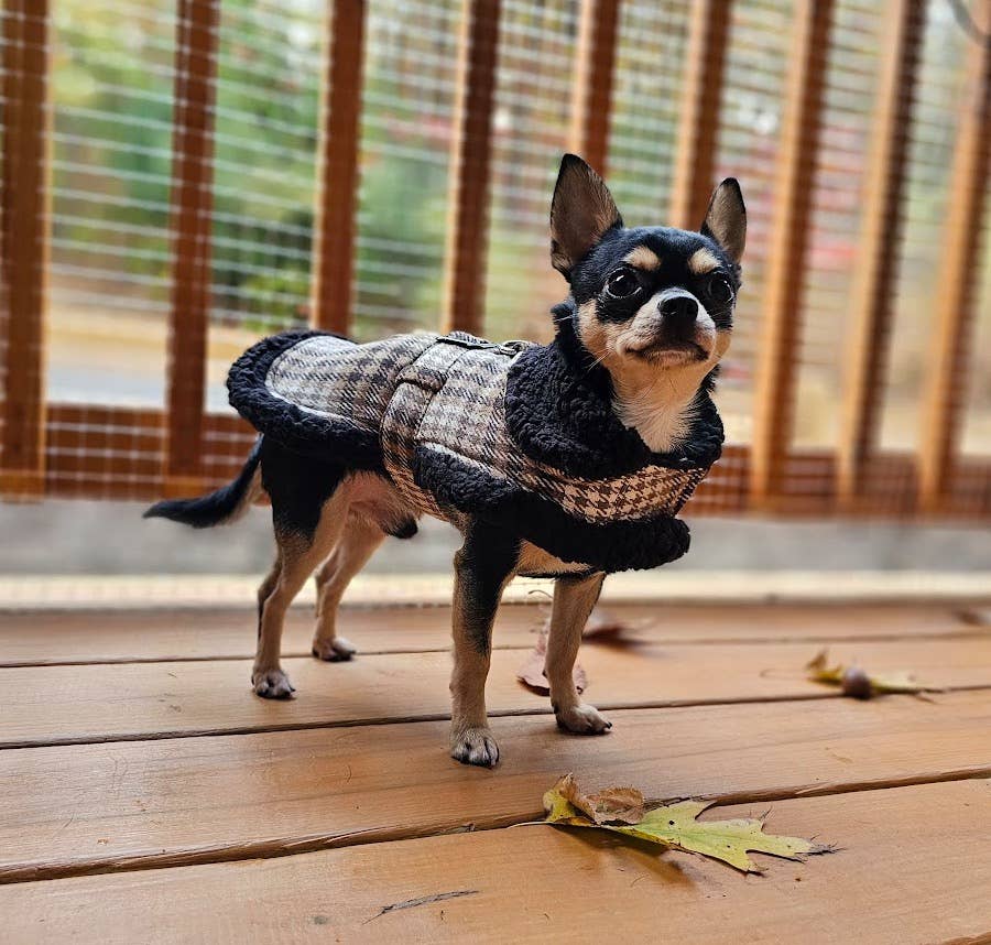 Sherpa-Lined Dog Harness Coat - Brown & White Plaid
