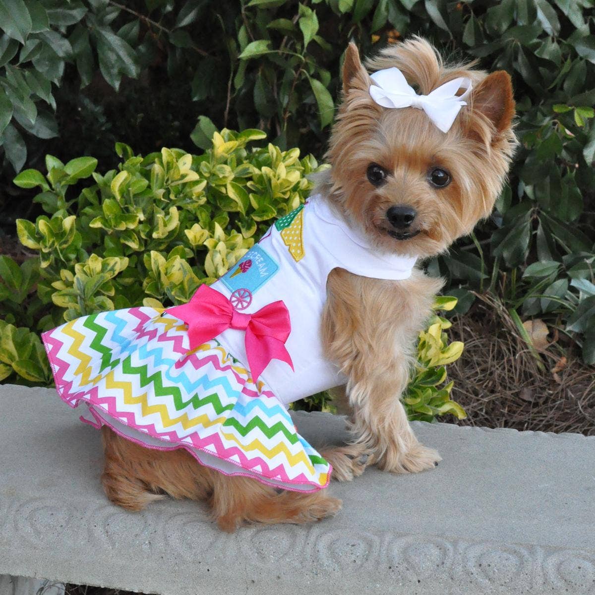 Ice Cream Cart Harness Dog Dress w/ Matching Leash 50% OFF!