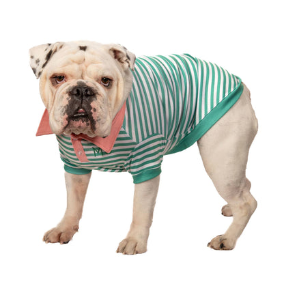 Hip Doggie - Max's Closet Green Stripe with Pink Collar Polo