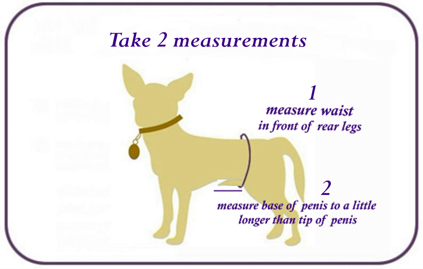 Male Dog Belly Band, Seniors, Potty Training, Buckle Closure