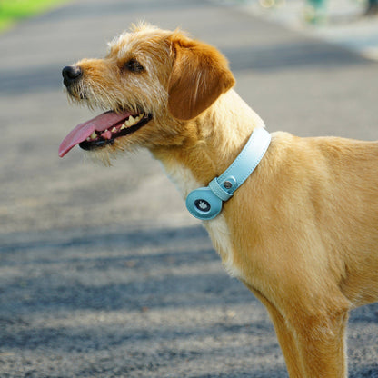 Silver-Powered Freshness Microfiber Vegan Leather AirTag Dog Collar