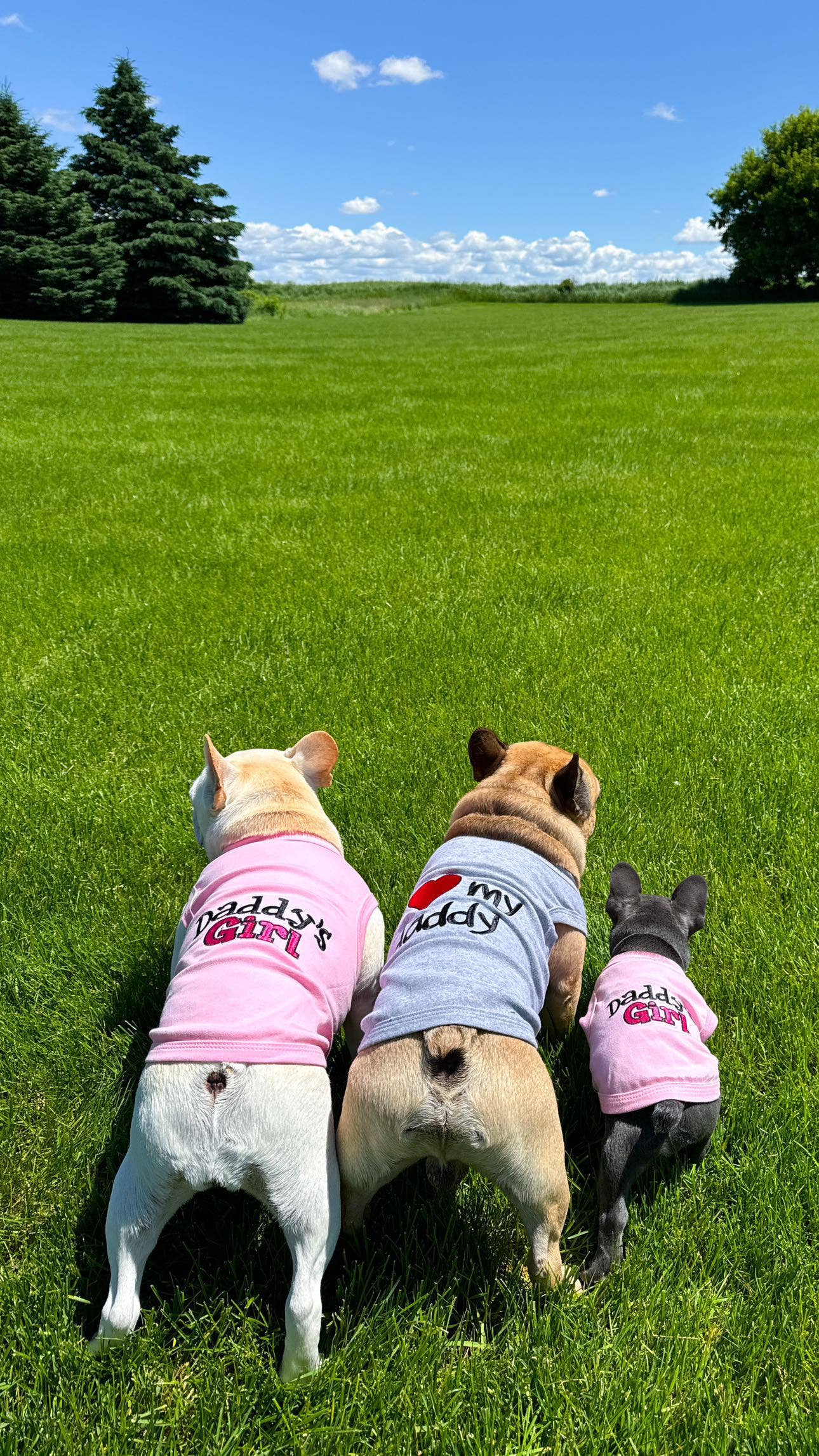 Pink Daddy’s Girl Dog T-Shirt