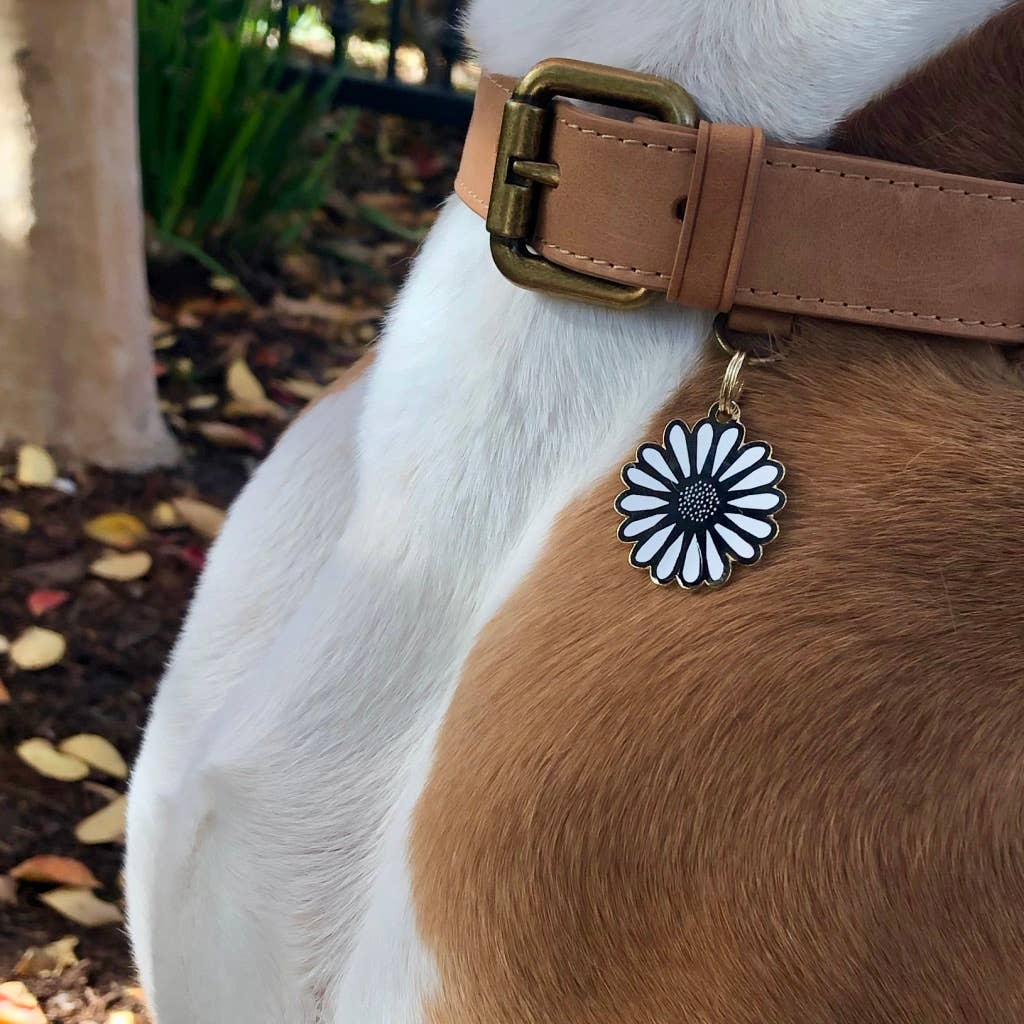 Daisy Pet ID Tag - Free Engraving