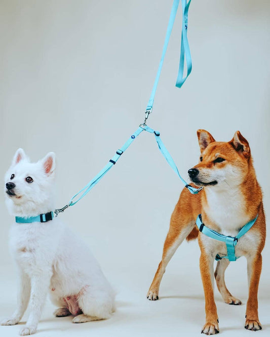 Double Dog Leash Coupler for Walking 2 Dogs
