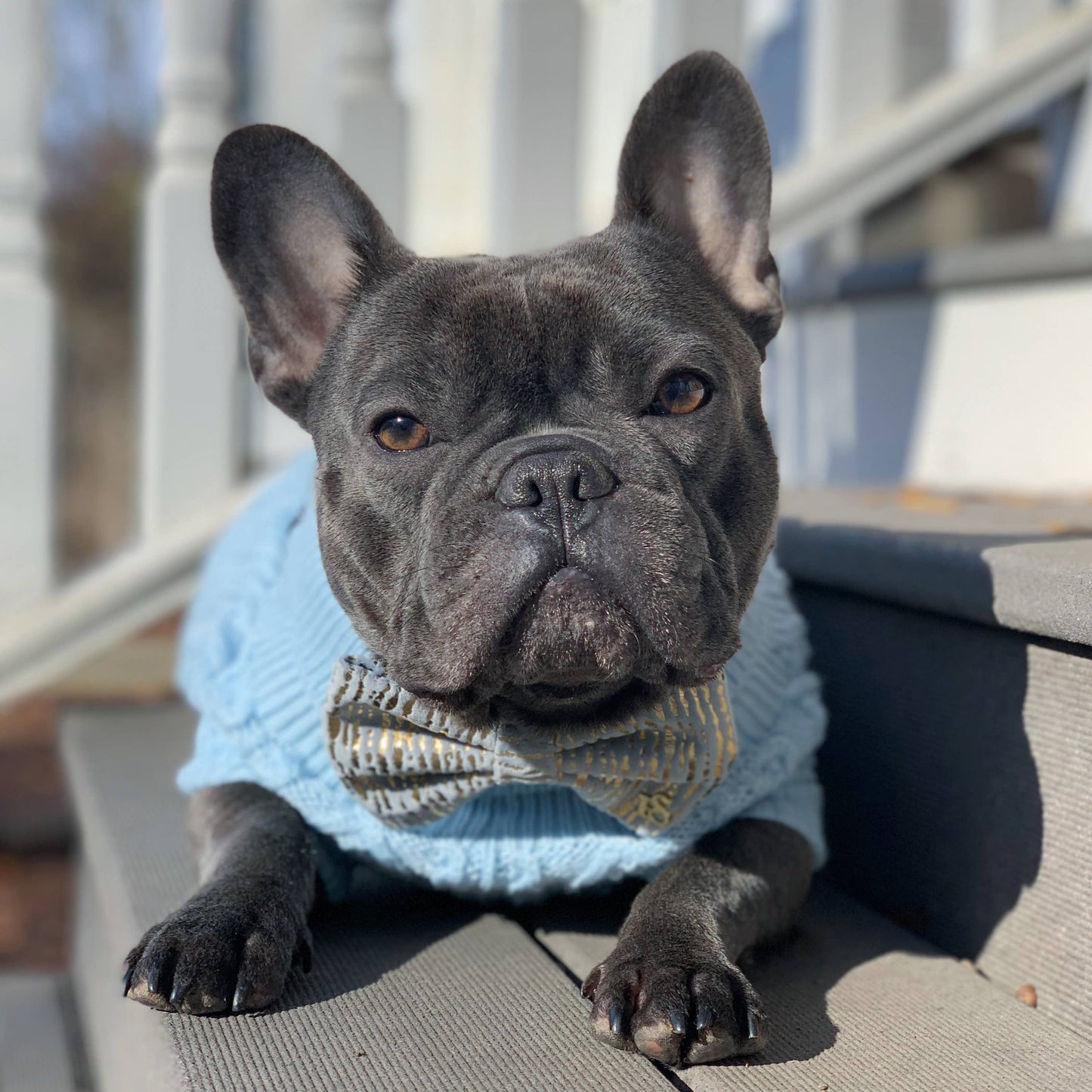 Cable Knit Sweater Powder Blue – Soft & Warm Dog Apparel